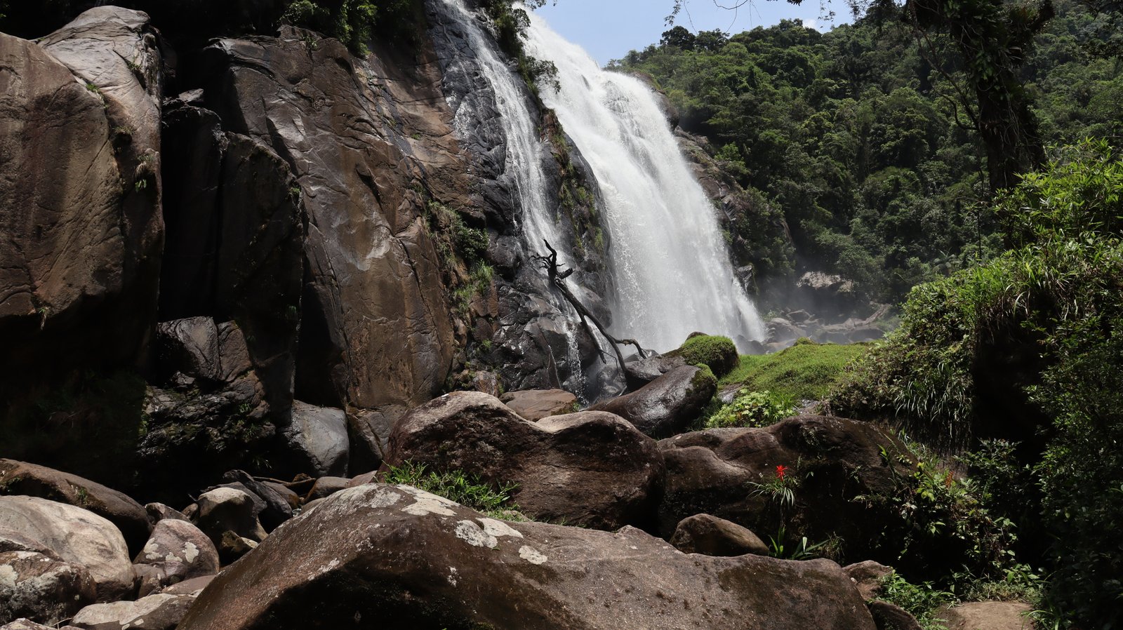 Parque Estadual Restinga de Bertioga