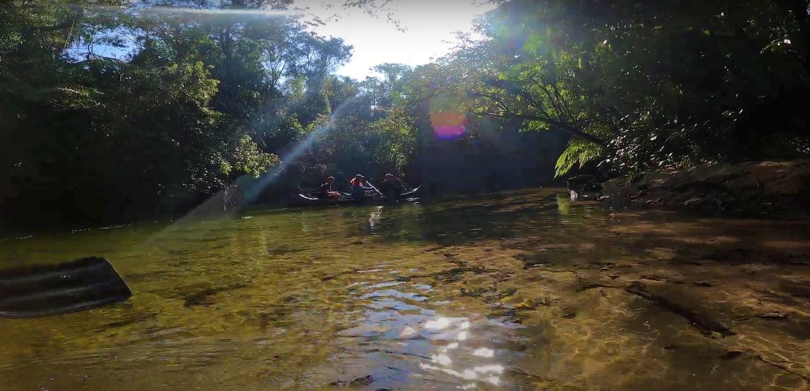 Canoagem em meio à Mata Atlântica no Rio Jaguareguava