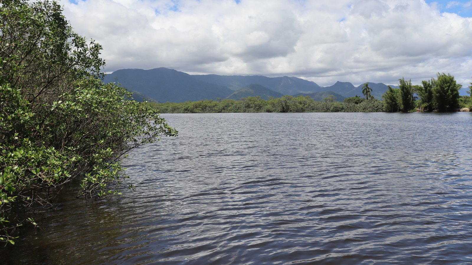 Rio Itapanhaú e Mata Atlântica em Bertioga