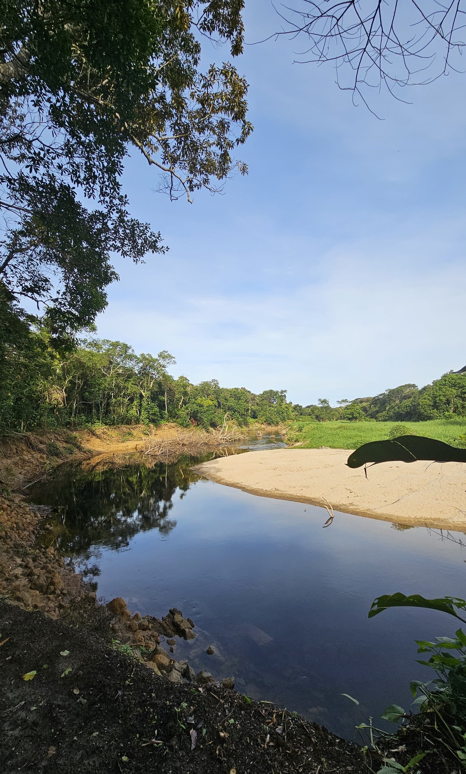 Rio Itapanhaú na Trilha do Vale Verde